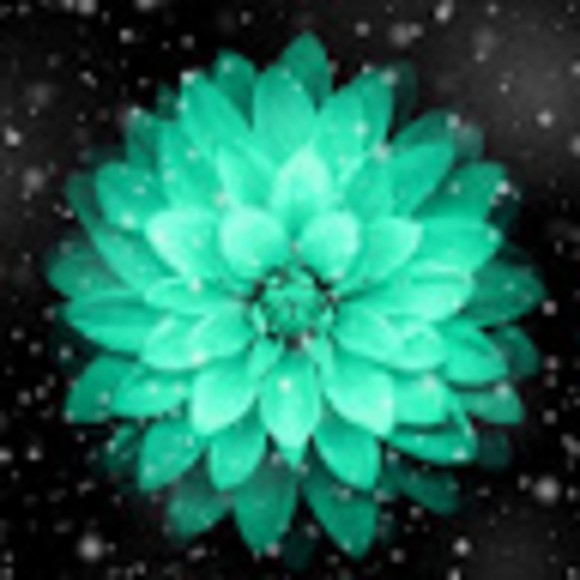 Meet your Posher, Lindsay - Picture 1 of 1